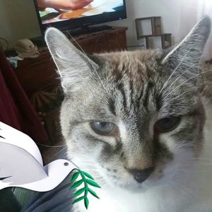 Meet your Posher, Kathy